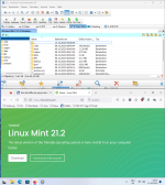 Linux Mint Live Stick.png