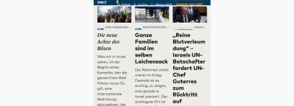 WELT.de- vorher.JPG