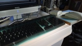 IMG_20231022_165347.jpg