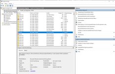 Fehler Spieleabbruch.JPG