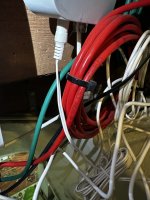 Rotes Ethernetkabel.jpeg