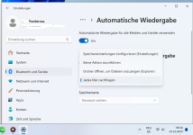 W11 auto wiederg.png