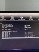 bios 4.jpg