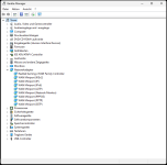 Gerätemanager_ohne_Adapter_Netzwerk.png