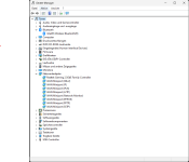 Gerätemanager_mit_Adapter_Netzwerk_Bluetooth.png