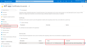 client-secret-value.png