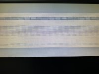 IMG_9884.jpeg IMG_9884.jpeg