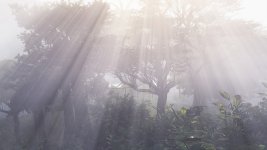 Tom Clancy's Ghost Recon  Wildlands Super-Resolution 2017.06.07 - 23.39.10.65.jpg