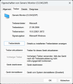 Monitor Eigenschaften vor Treiber Installation.png