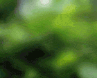 image001.gif