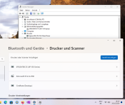 Geräte Drucker zufügen.png