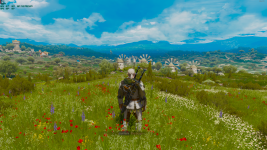 The Witcher 3 Wild Hunt_2025.01.01-14.04.png