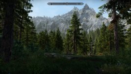 Skyrim Special Edition 30.01.2025 15_08_29.jpg