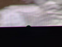IMG_6942.jpeg