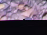 IMG_6943.jpeg