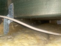 IMG_1031.jpeg IMG_1031.jpeg