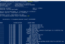 2025-03-09 22_09_12-Windows PowerShell.png