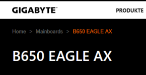 B650 Eagle AX.png