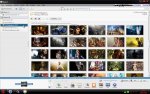 Picasa1.jpg