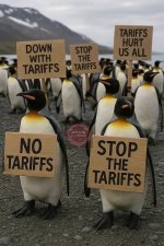 ce340ff6-1c99-4f5b-92b7-f2e70de3409d.jpg ce340ff6-1c99-4f5b-92b7-f2e70de3409d.jpg