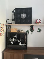 IMG_2495.jpeg IMG_2495.jpeg