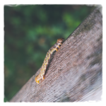 LRM_20250426_180141.png LRM_20250426_180141.png