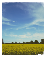 LRM_20250426_173439 1.png LRM_20250426_173439 1.png