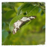 LRM_20250426_172311.png LRM_20250426_172311.png