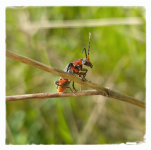 LRM_20250426_171518.png LRM_20250426_171518.png