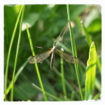 LRM_20250426_164042.png LRM_20250426_164042.png