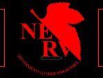 NERV.JPG