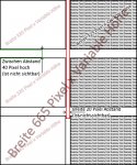 Content Layout.jpg