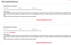 Bios kritisch.png