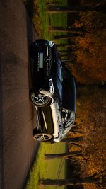 Mercedes_E300e_Reduziert_Allee.jpg
