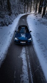 Audi_RS5_Reduziert_Wald.jpg