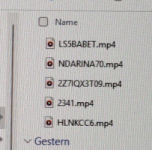 mp4 dateien 5kPlayer.png