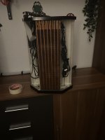 IMG_2730.jpeg IMG_2730.jpeg