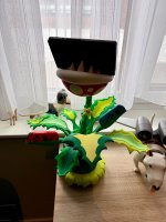 IMG_0970.jpeg IMG_0970.jpeg