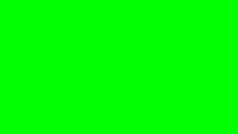 100-green.png