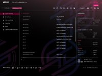 MSI_Systemstatus_[2025-05-20-11-21-43].jpg