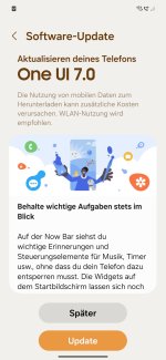 Screenshot_20250520_134418_Software update.jpg