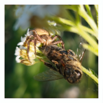 LRM_20250520_184549.png LRM_20250520_184549.png