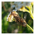 LRM_20250520_184540 1.png LRM_20250520_184540 1.png