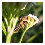 LRM_20250520_184521.png LRM_20250520_184521.png