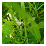 LRM_20250519_175849.png LRM_20250519_175849.png