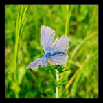 LRM_20250518_163343.png LRM_20250518_163343.png