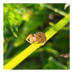 LRM_20250515_183012 1.png LRM_20250515_183012 1.png