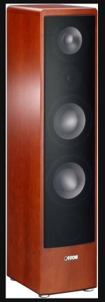 Canton Ergo 695 DC.jpg