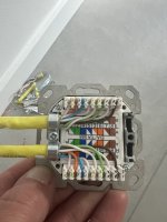 IMG_2106.jpeg IMG_2106.jpeg