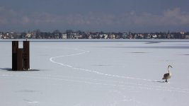 CB_Foto_2505_Nihil Baxxter.JPG